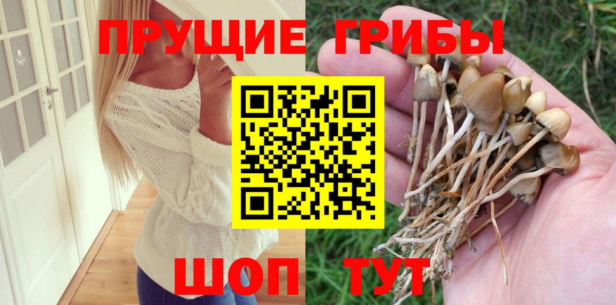 Дзержинск  Галлюциногенные грибы Magic Shrooms  Вход с VPN 